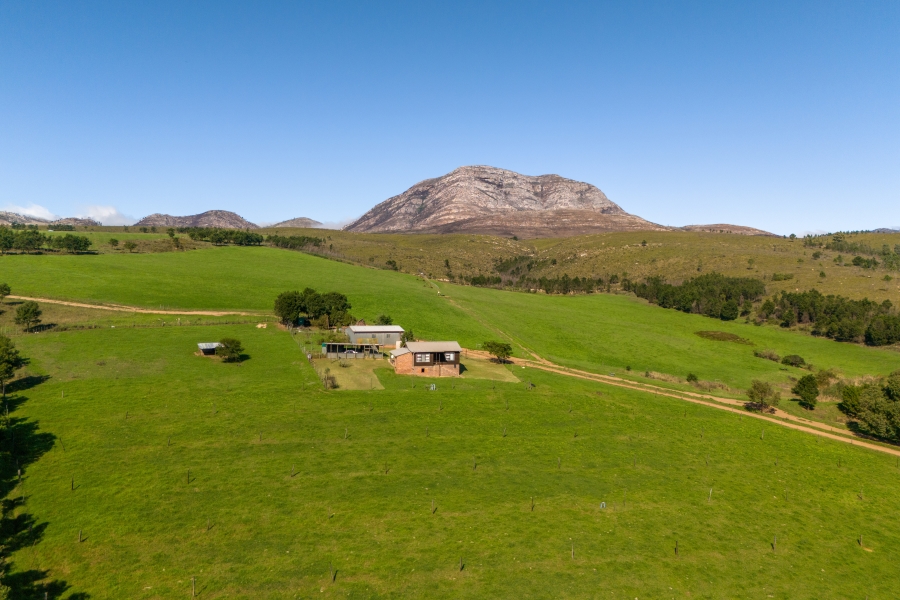 0 Bedroom Property for Sale in Kareedouw Eastern Cape